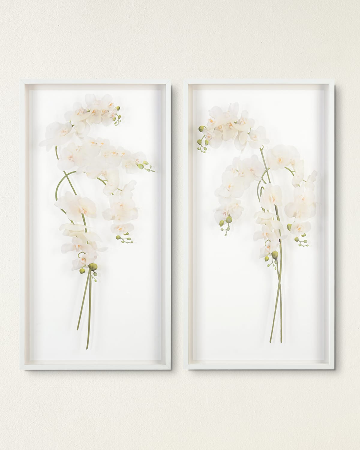 John-richard Collection Study Of Orchids Ii Wall Art In White