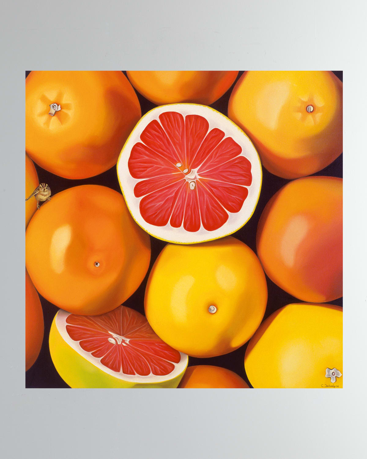 Shop Dechamby Design Pamplemousse Fine Art Print In Orange