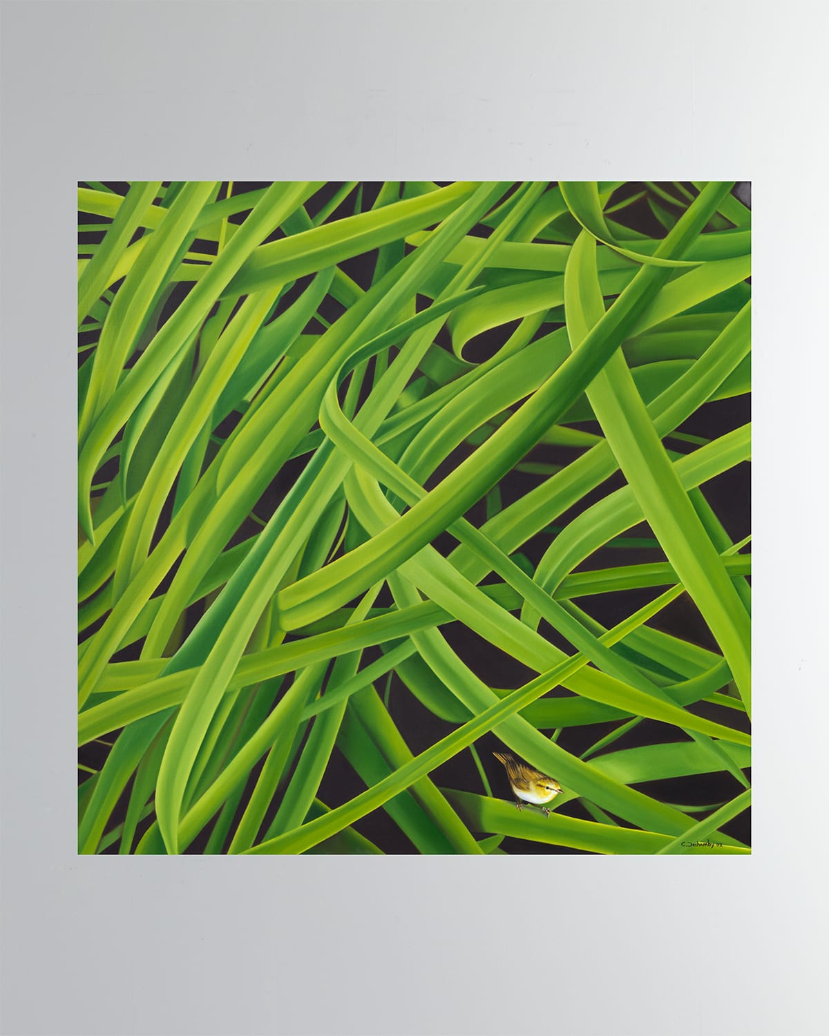 Shop Dechamby Design Essence Vitale Fine Art Print In Green