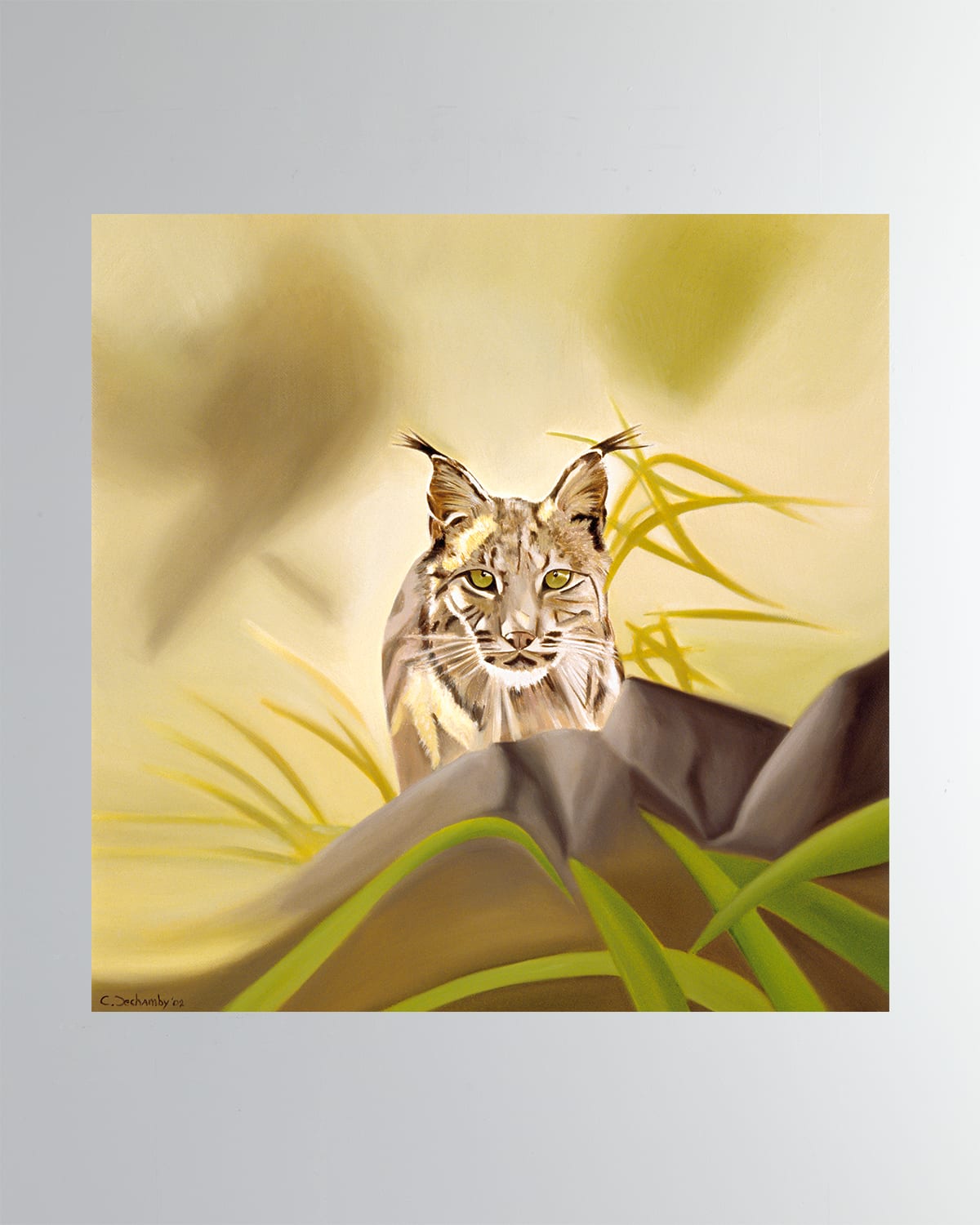 Lynx Fine Art Print