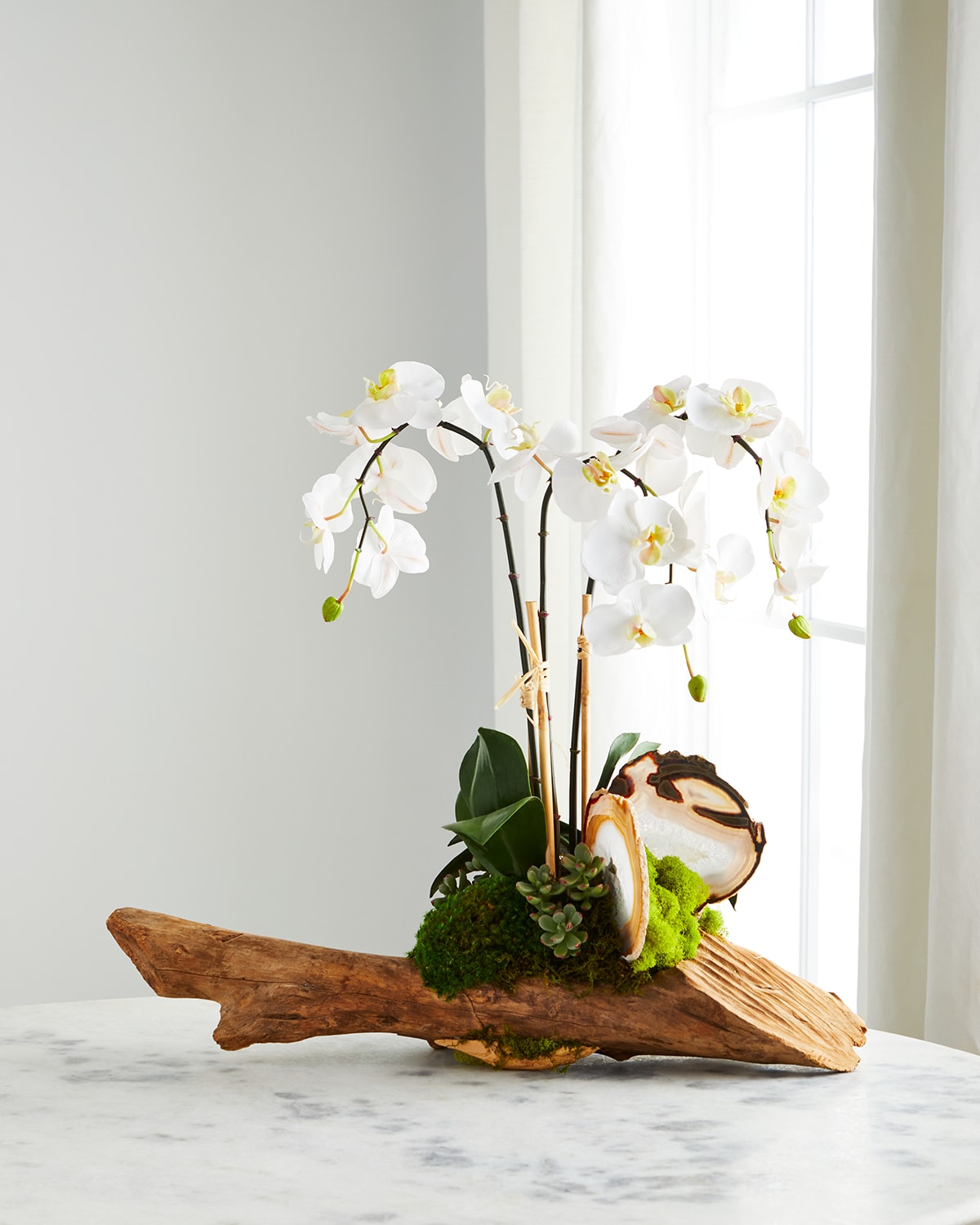 Shop T & C Floral Company White Orchid In Driftwood Agate Slabs
