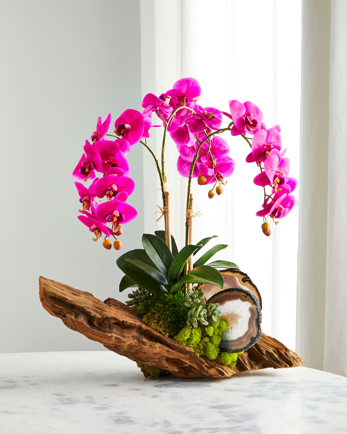 Shop T & C Floral Company Fuchsia Orchid In Driftwood Agate Slabs