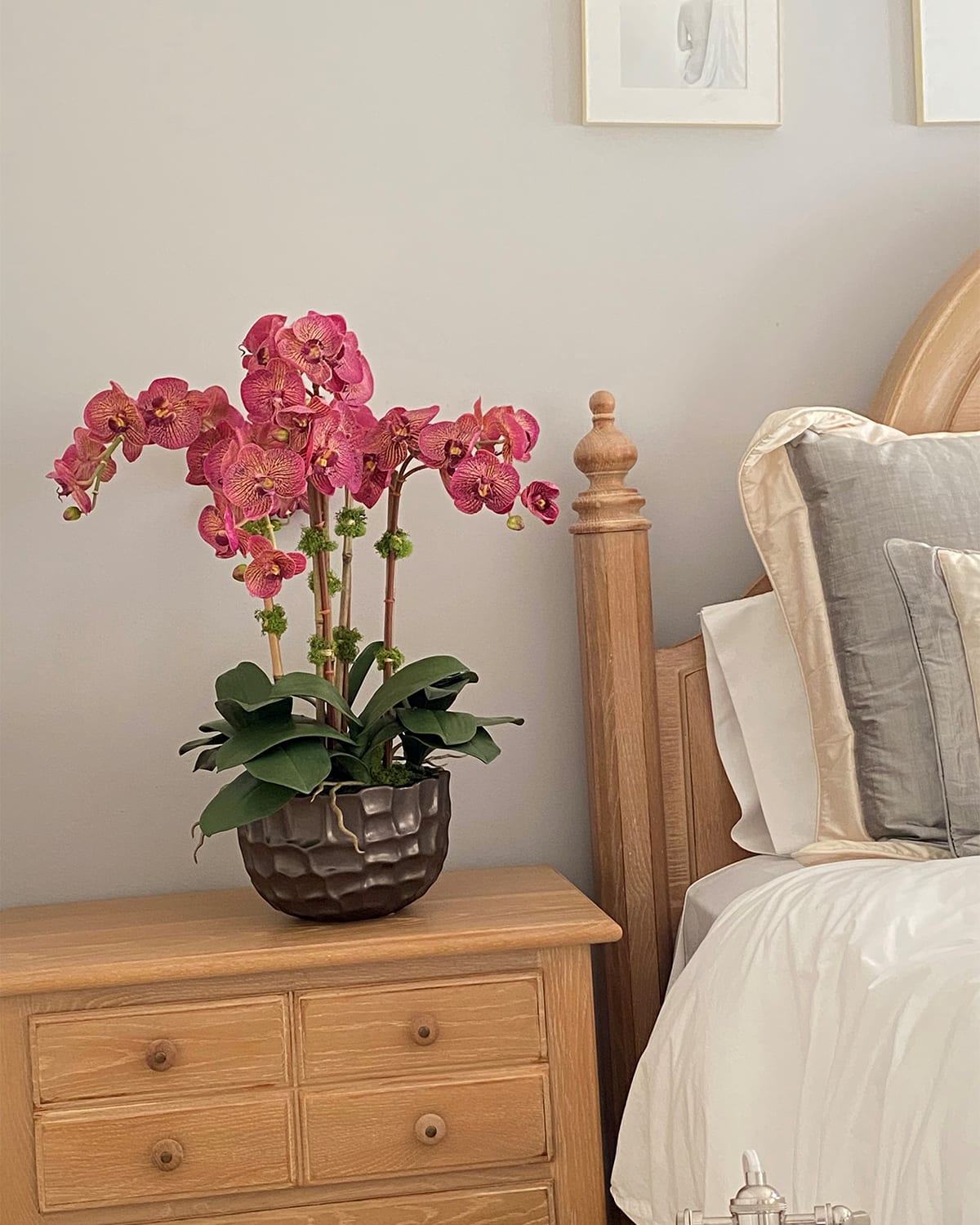 Orchid in Modern Bowl