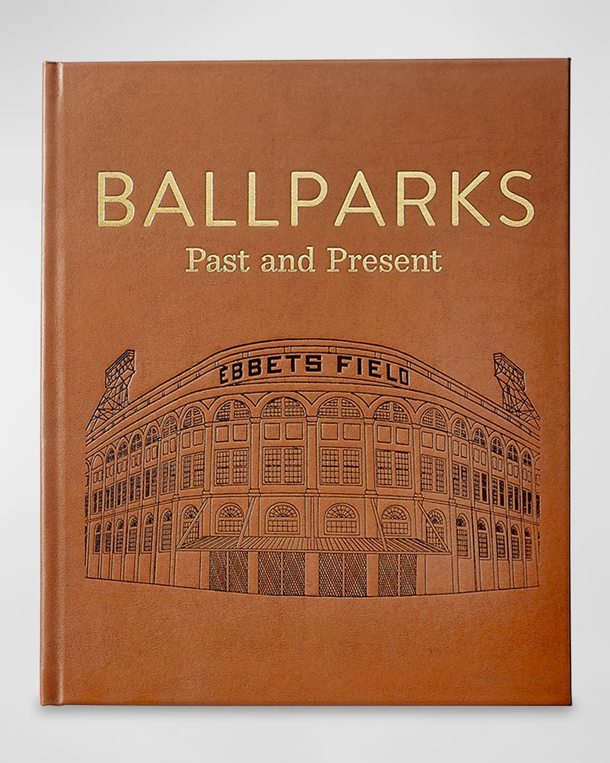 Shop Graphic Image Ballparks Book In Tan