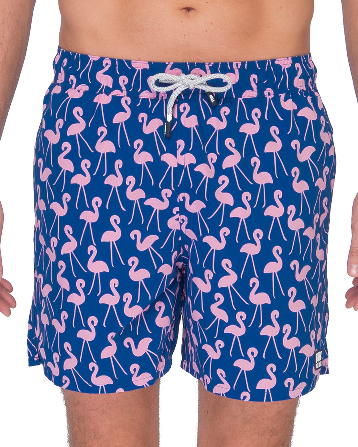 Tom & Teddy Men's Flamingo-print Swim Trunks In Rose Blue