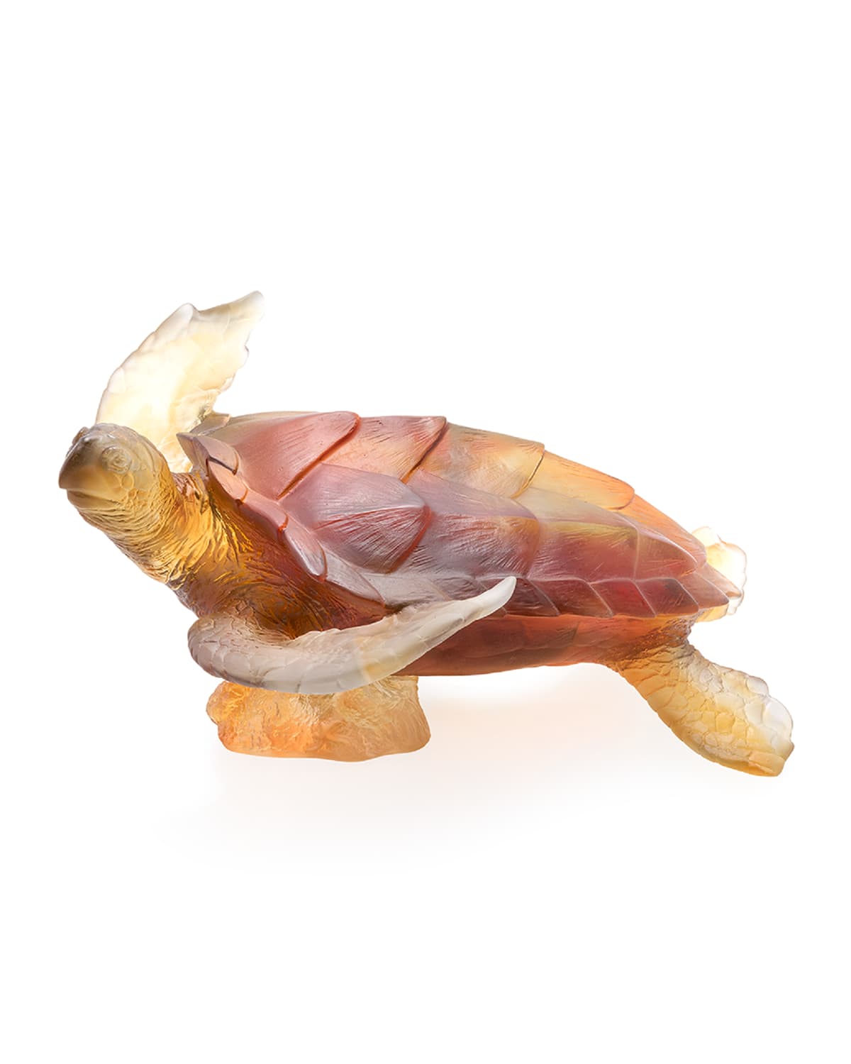 Shop Daum Coral Sea Large Sea Turtle, Amber/gray