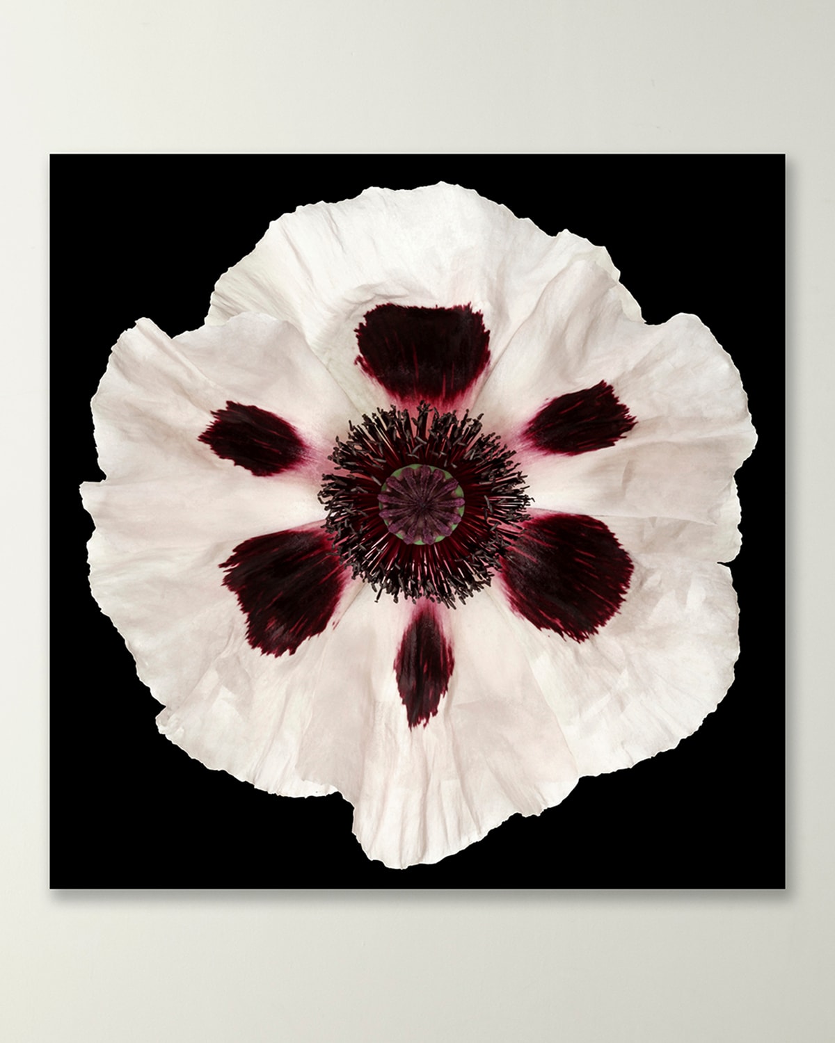 Wendover Art Group White Poppy Giclee