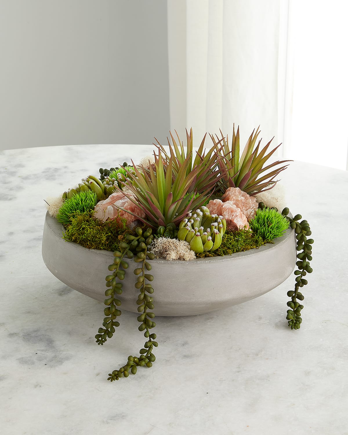 Shop T & C Floral Company Succulents In Concrete Bowl In Red Calcite