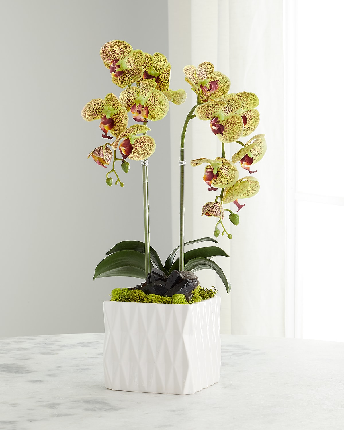 Shop T & C Floral Company Double Orchid Faux Floral Arrangement With White Ceramic Vase In Green