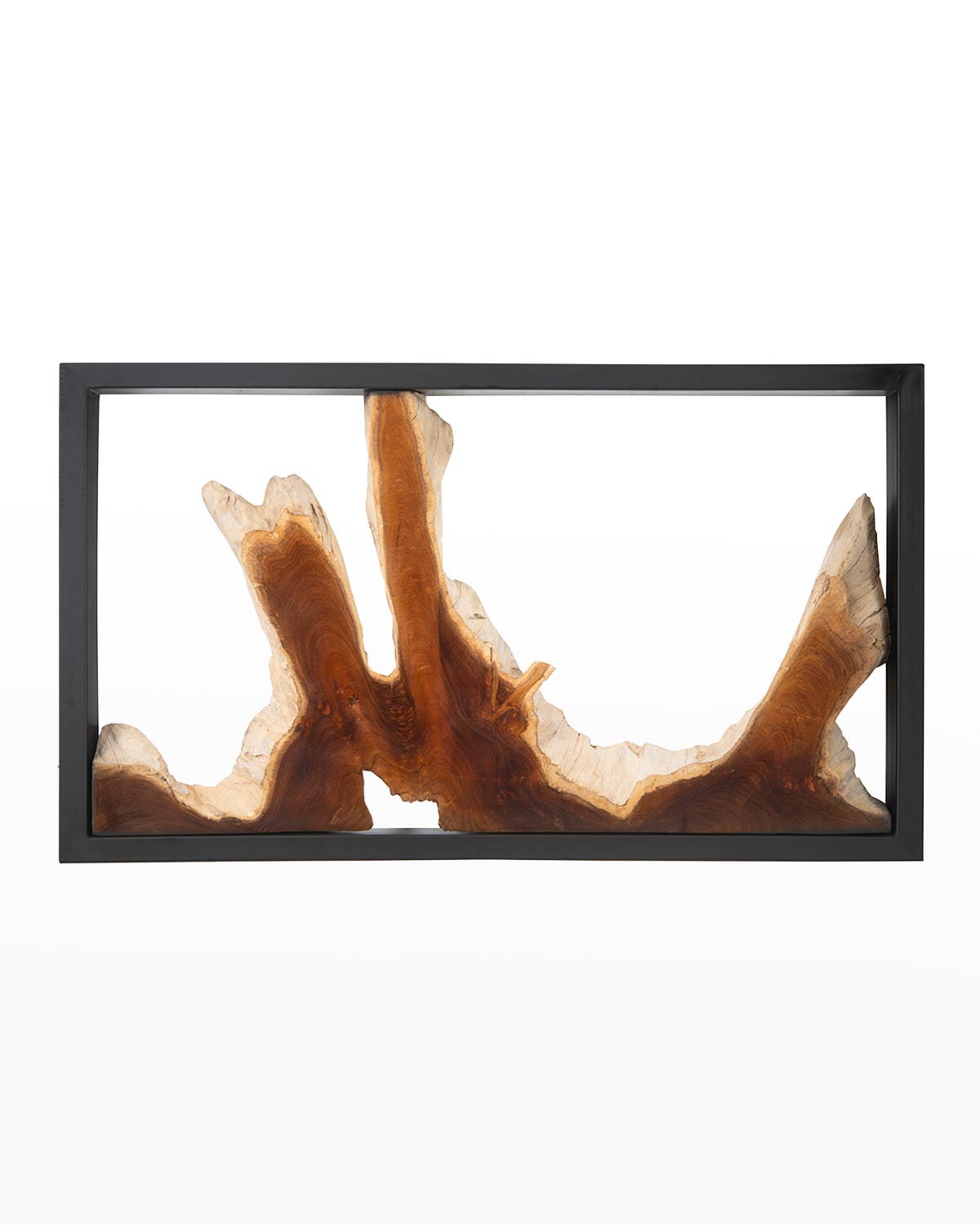 Shop The Phillips Collection Framed Root Wall Art In Black