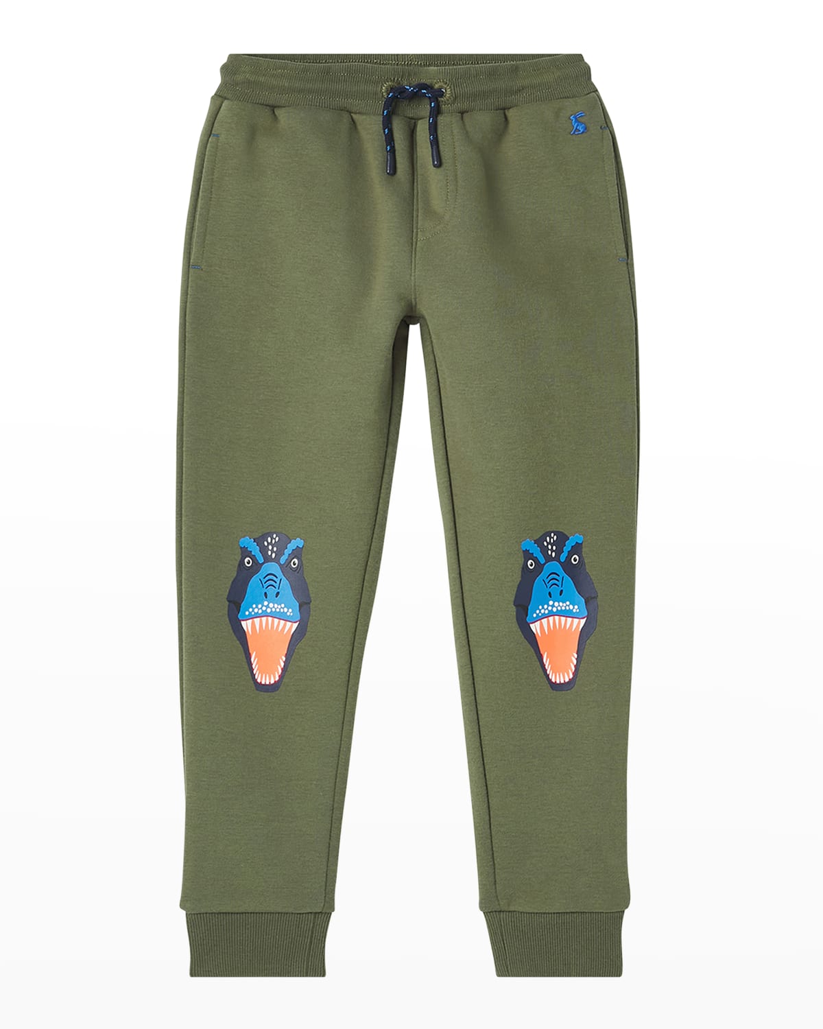 dinosaur jogger set