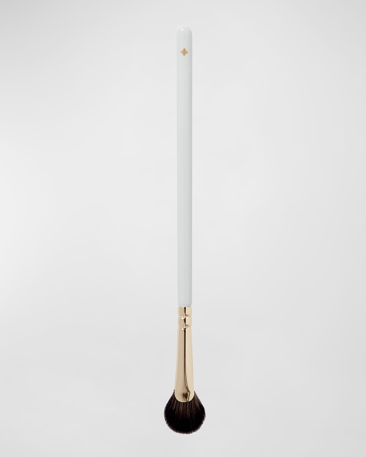 Jillian Dempsey Mini Fan Brush