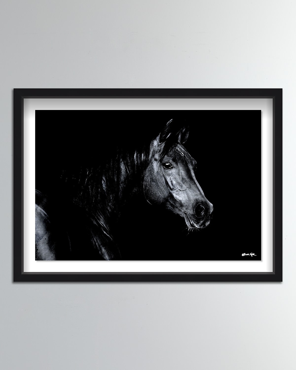 Shop The Oliver Gal Artist Co. Stallion Stare Giclee On Paper In Black