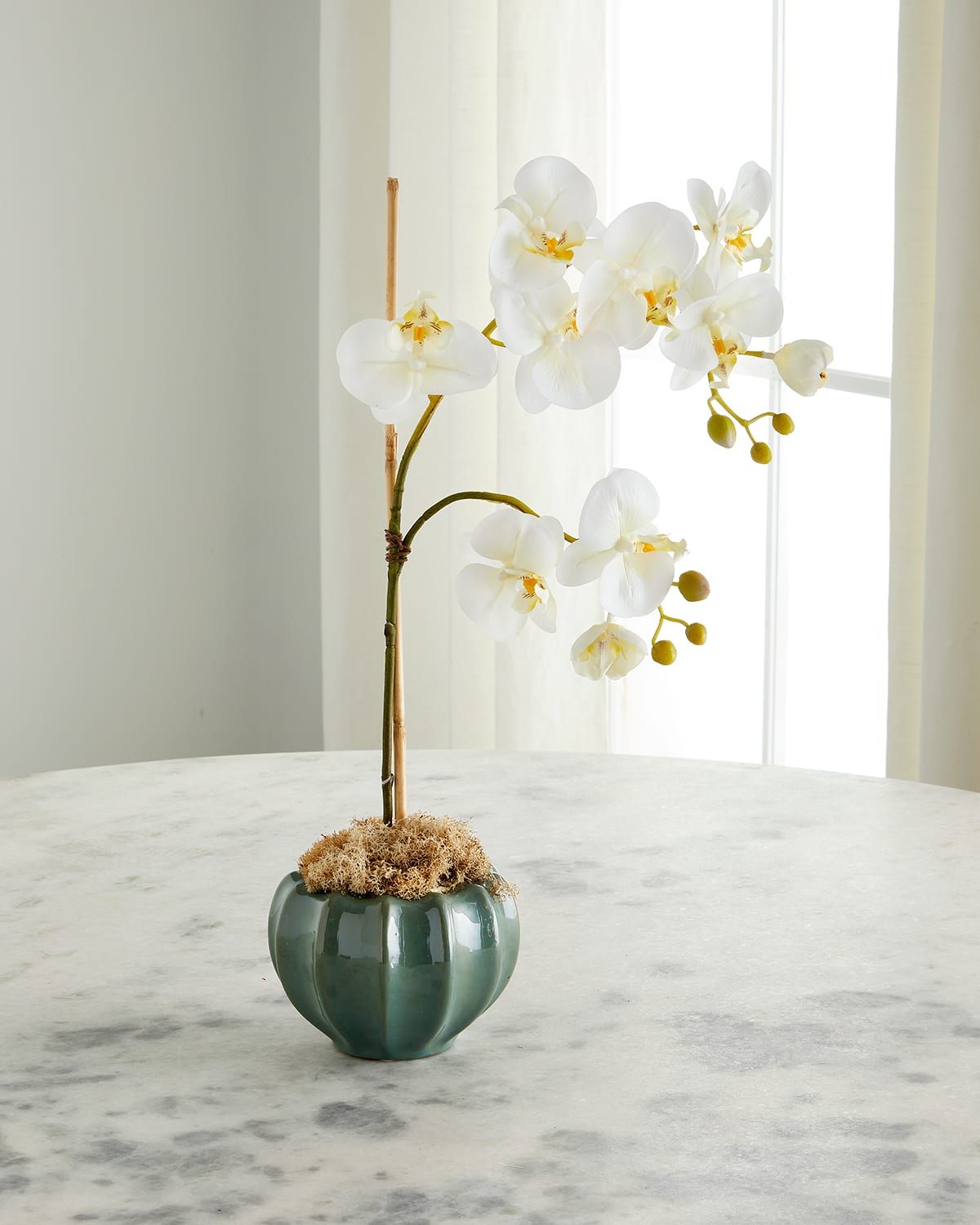 Exclusive Viridian Orchid Arrangement