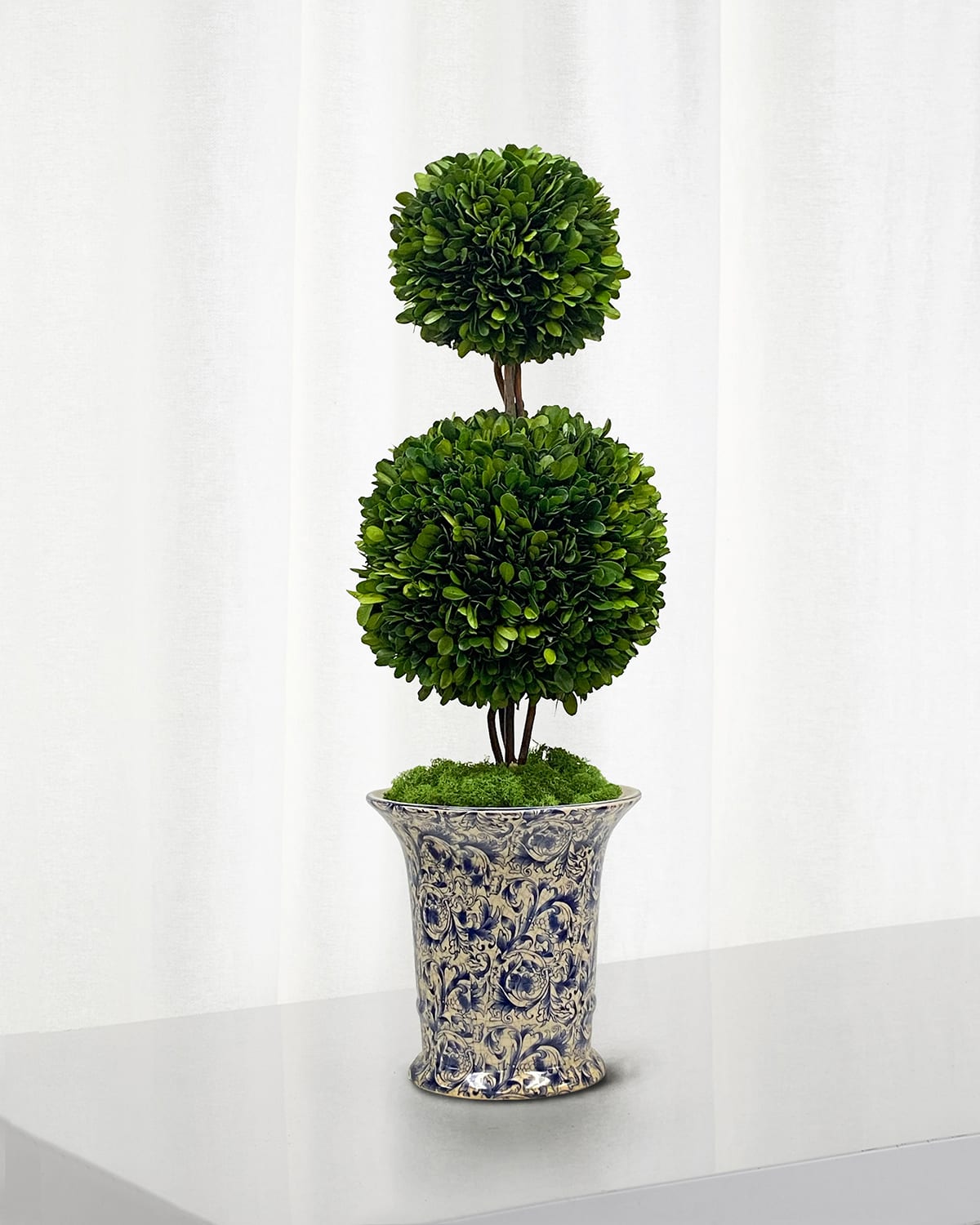 Winward Preserved Double Ball Topiary In Porcelain Vase - 25.5"