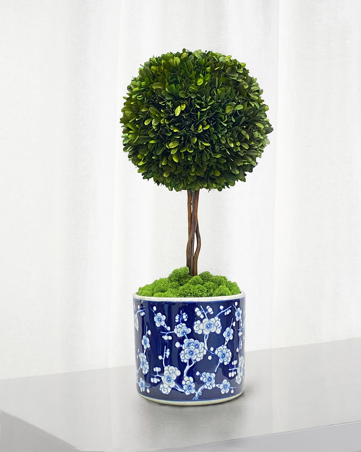 Winward Home Preserved Boxwood Ball Topiary In Round Porcelain Vase - 24" In Green