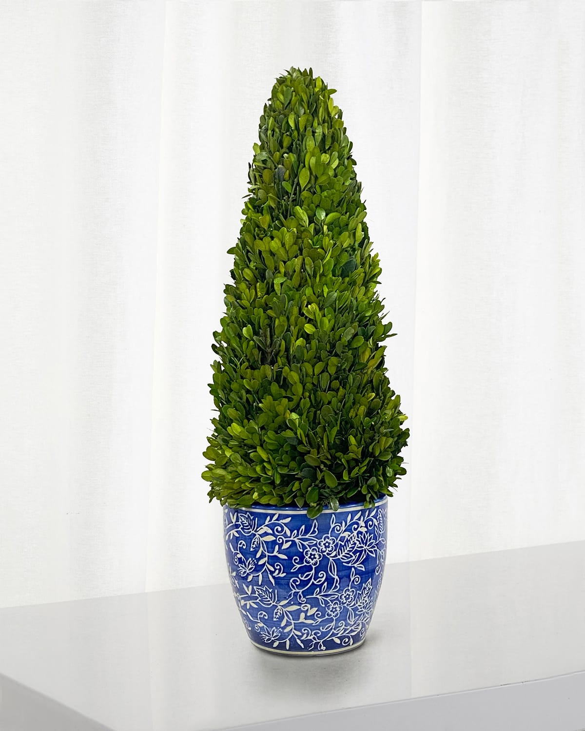 Winward Home Preserved Boxwood Cone Topiary In Porcelain Lotus Pot - 28" In Green