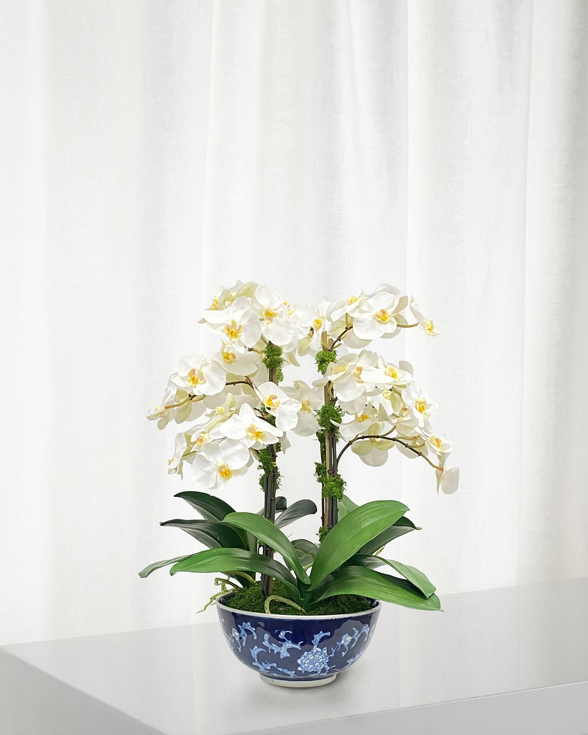 Winward Home Orchid In Longlife Bowl In White