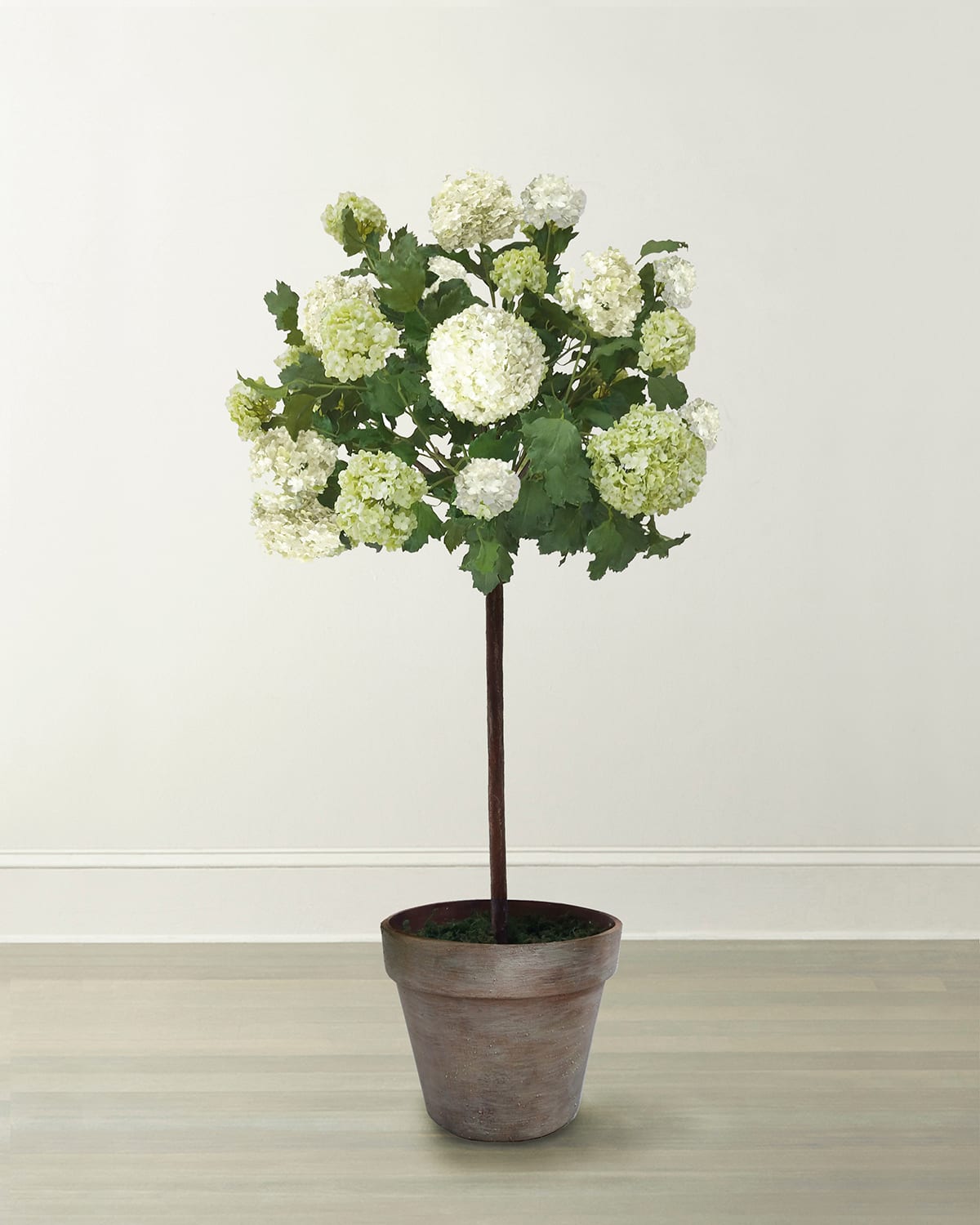 Winward Home Snowball Flower Tree In Pot In Green/white