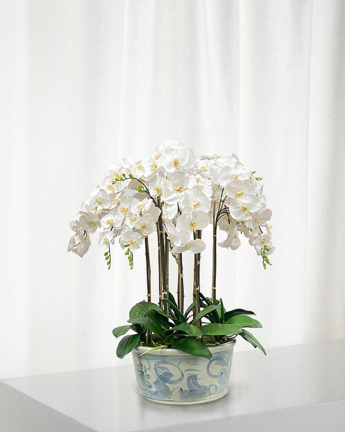 Shop Winward Home Orchids In Ceramic Pot In White
