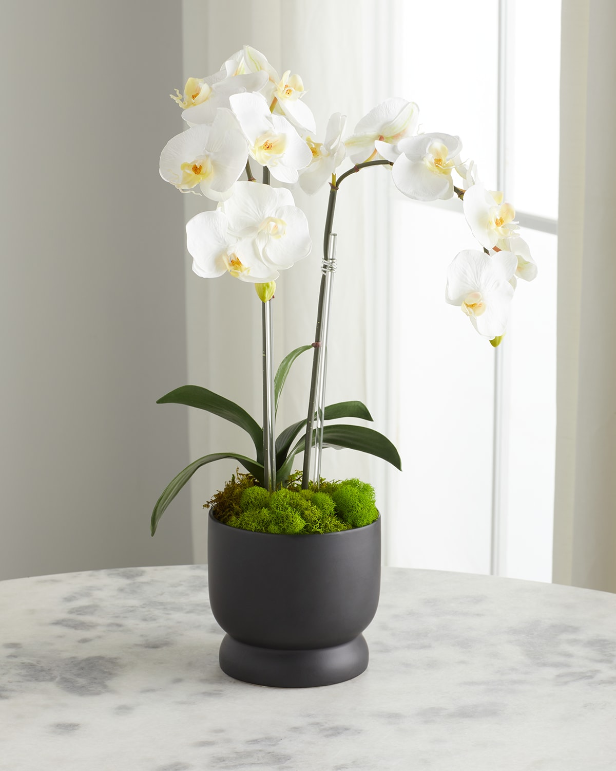 Shop T & C Floral Company Double Orchids In Matte Pot In White
