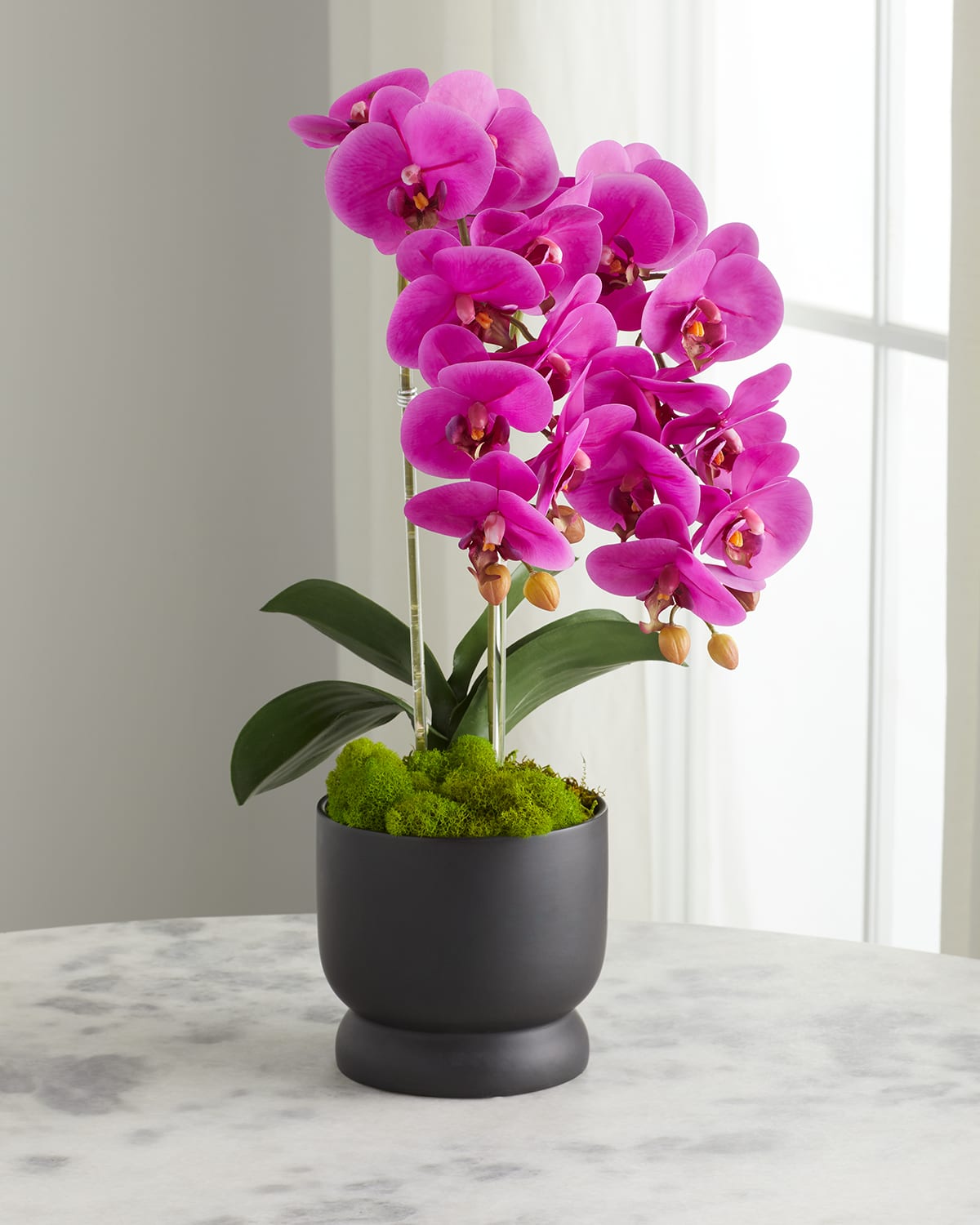 Shop T & C Floral Company Double Orchids In Matte Pot In Fuschia
