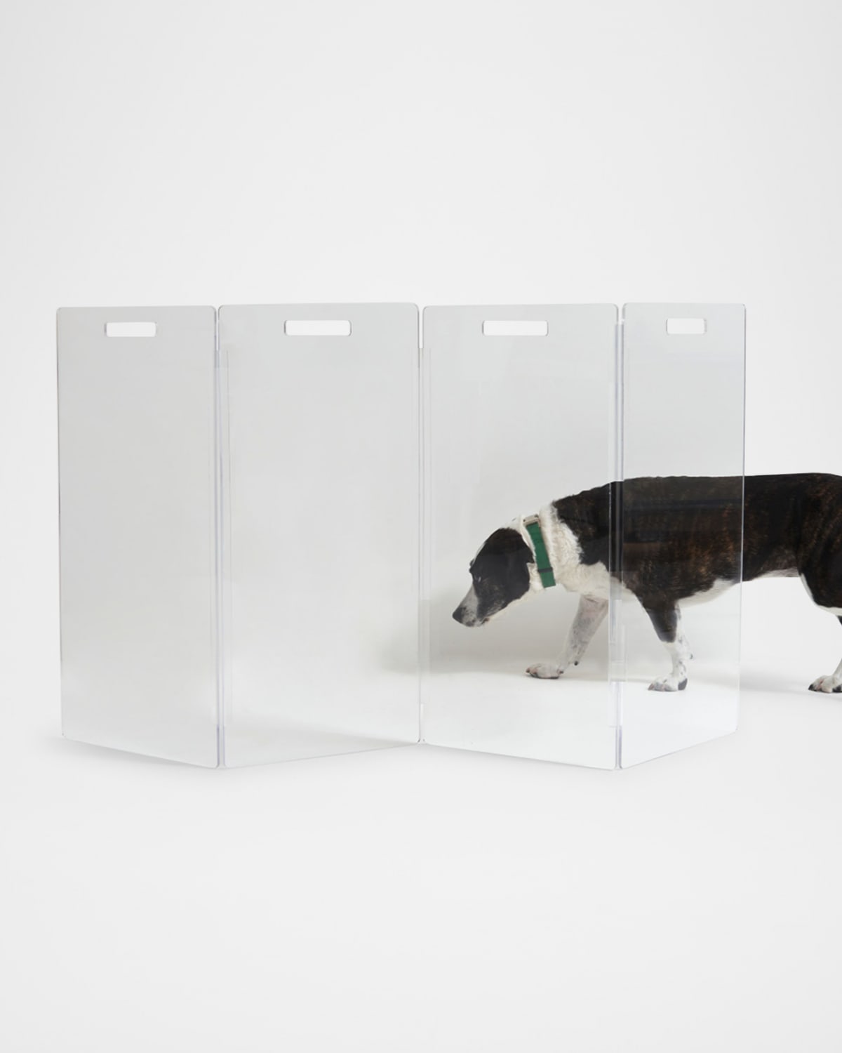 Hiddin Clear Free-standing Zig-zag Pet Gate, 4-panel In Clear