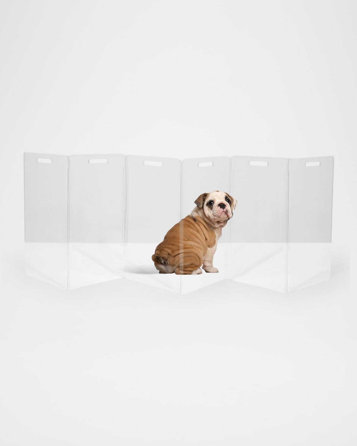 Hiddin Clear Free-standing Zig-zag Pet Gate, 6-panel In White