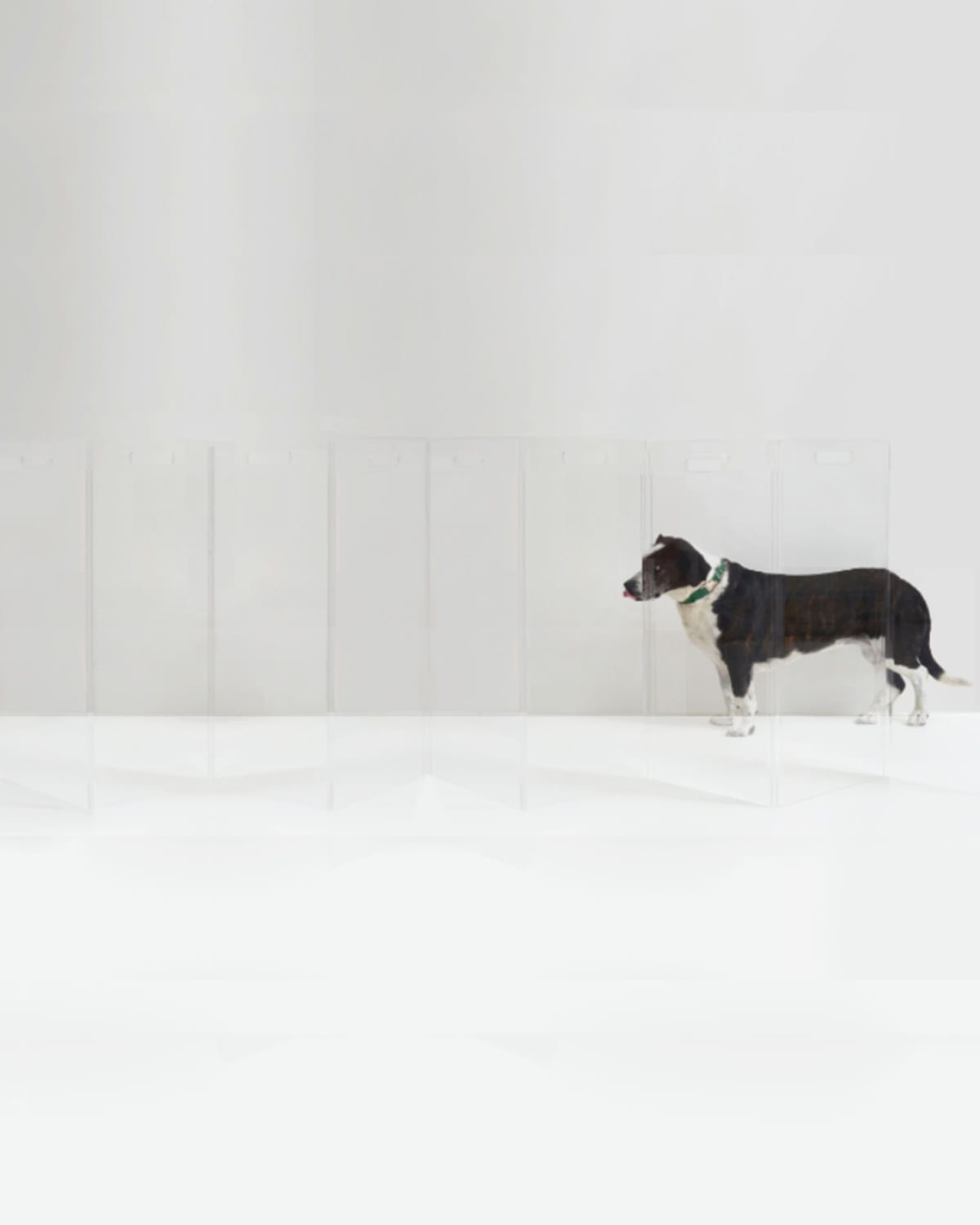 Hiddin Clear Free-standing Zig-zag Pet Gate, 8-panel In Clear