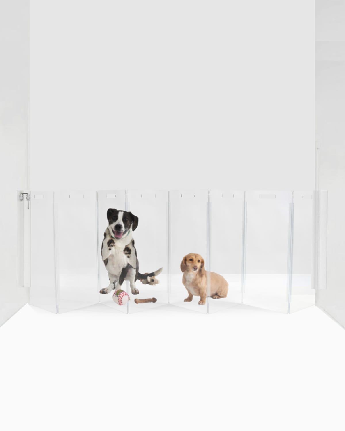 Hiddin Clear Wall-mounted Zig-zag Pet Gate, 8-panel In Clear/silver
