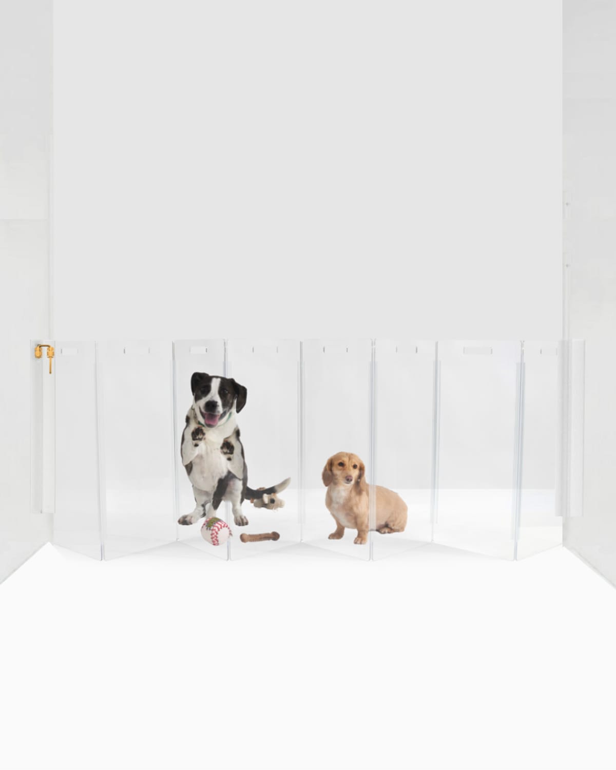 Hiddin Clear Wall-mounted Zig-zag Pet Gate, 8-panel In Clear/gold