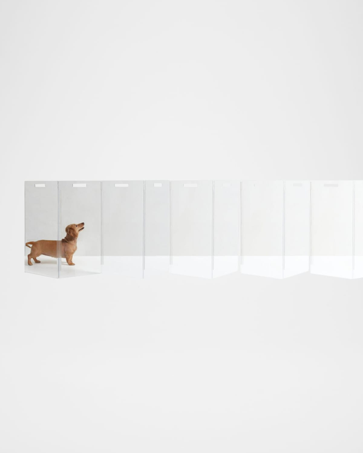 Clear Free-Standing Zig-Zag Pet Gate, 10-Panel