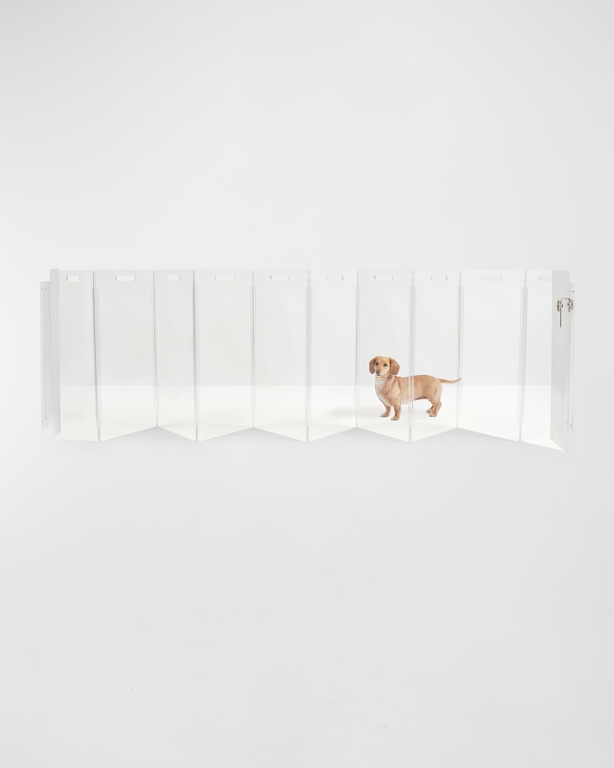 Shop Hiddin Clear Wall-mounted Zig-zag Pet Gate, 10-panel In Clear/silver
