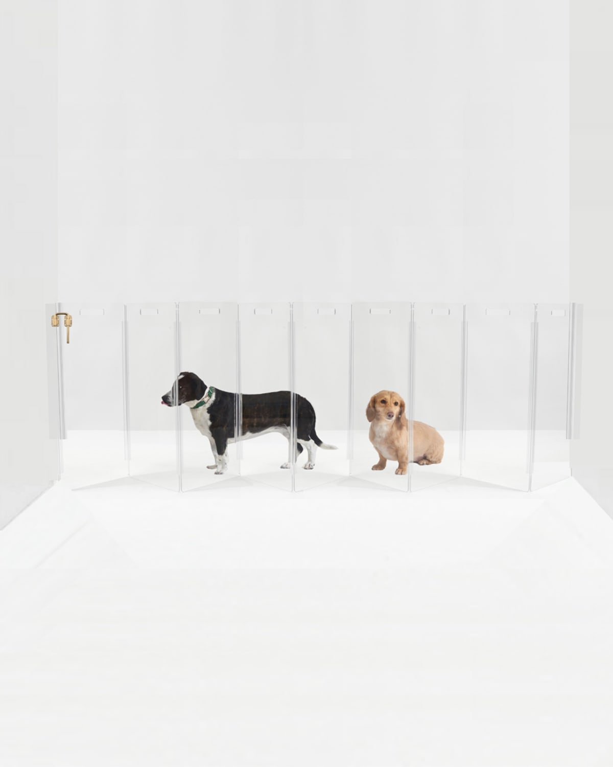 Hiddin Clear Free-standing Zig-zag Pet Gate, 10-panel In Clear/gold