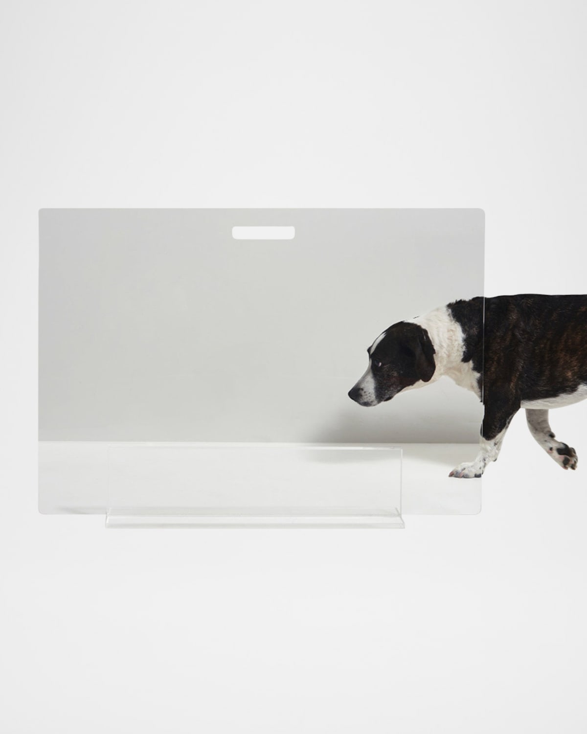 Hiddin Clear Free-standing Pet Gate Panel, 30" In Clear