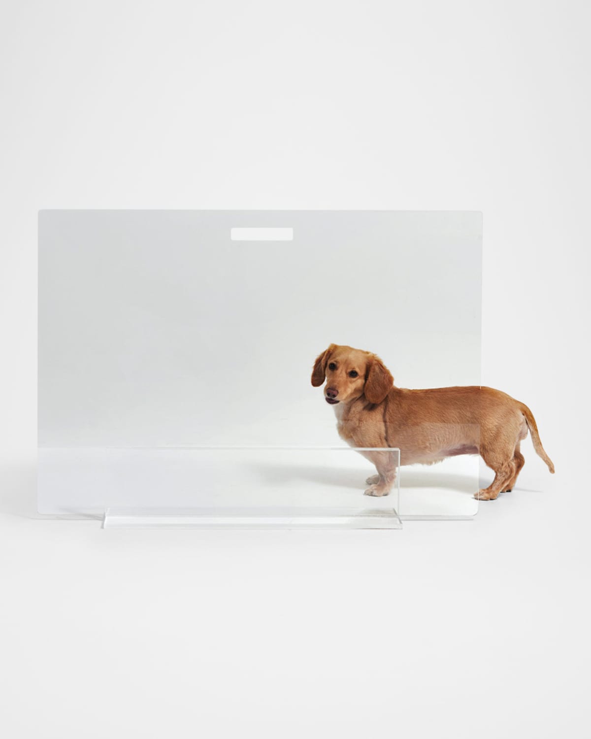 HIDDIN CLEAR FREE-STANDING PET GATE PANEL, 32" 