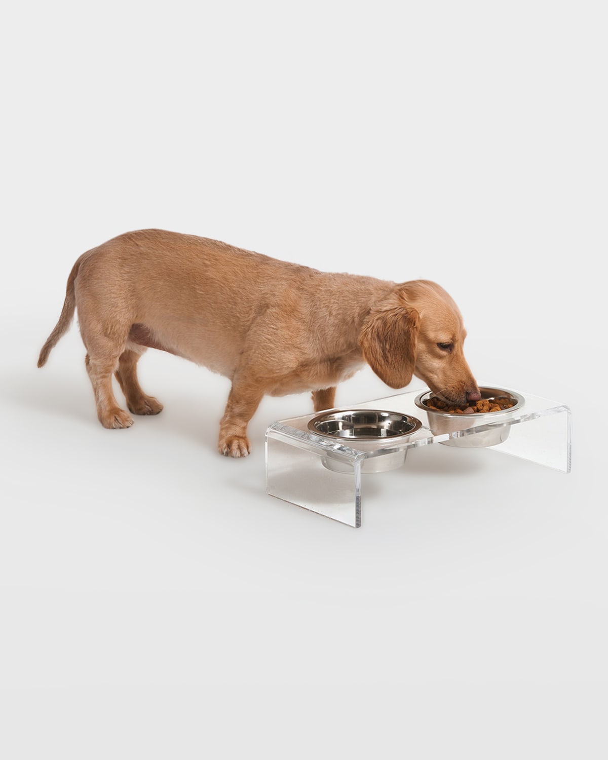 Hiddin Small Clear Double Pet Bowl Feeder In Clear/silver