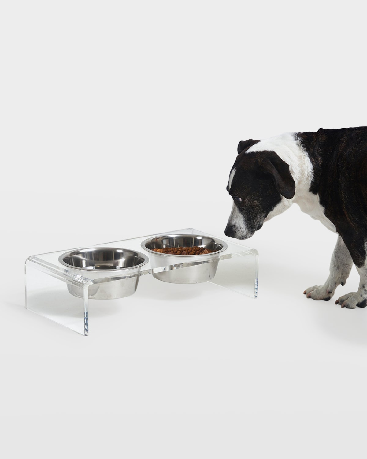 Hiddin Large Clear Double Pet Bowl Feeder With 1 Quart Silver Bowls In Clear/silver