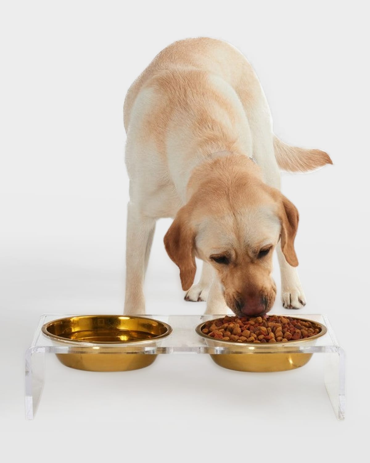 Hiddin Large Clear Double Pet Bowl Feeder With 1 Quart Gold Bowls In Clear/gold