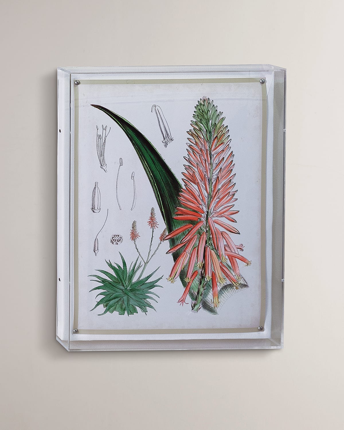Port 68 Tropicals I Giclee In Multi