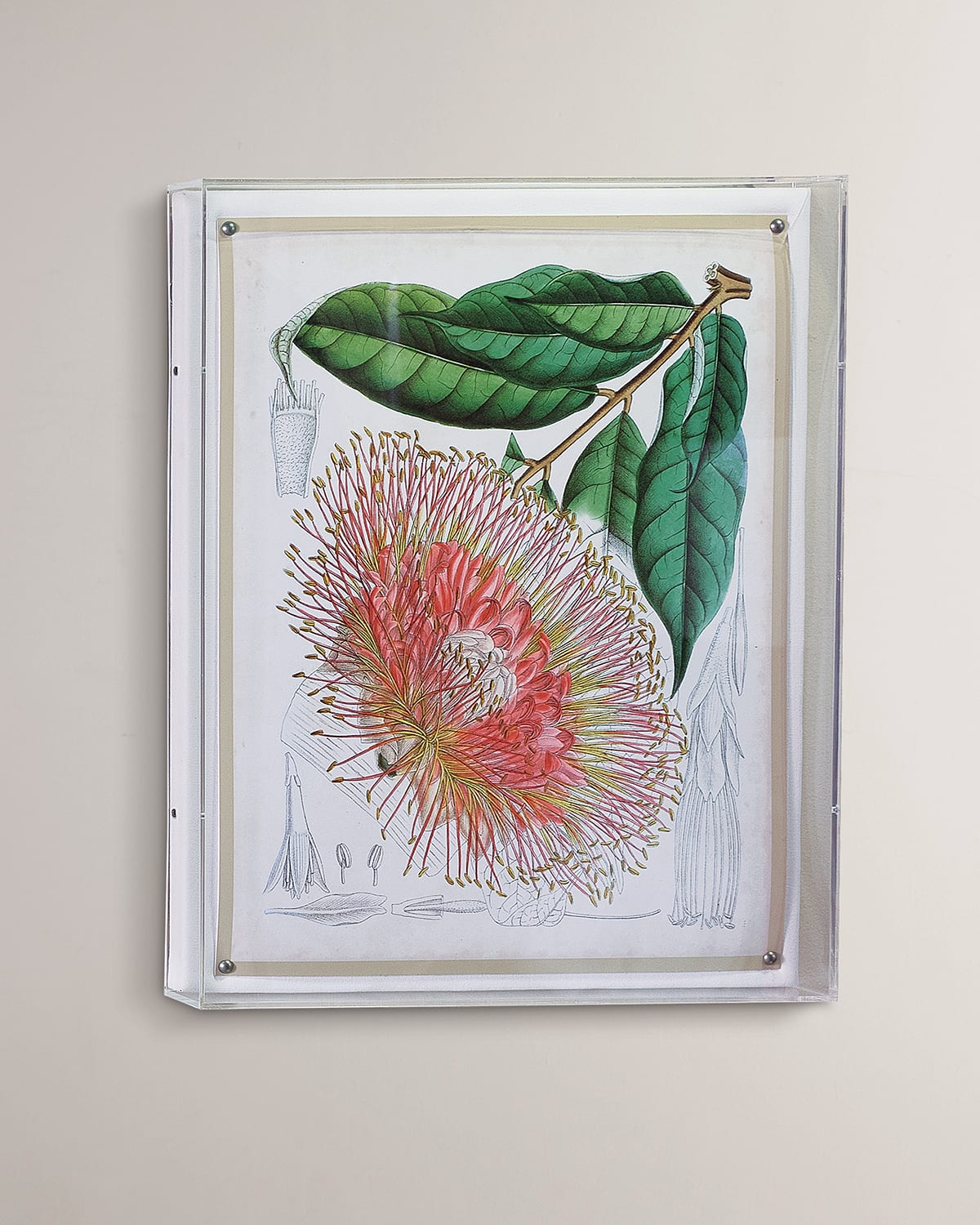 Shop Port 68 Tropicals Iv Giclee In Multi