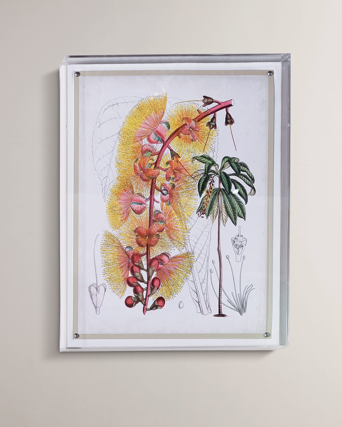 Shop Port 68 Tropical Vii Giclee In Multi