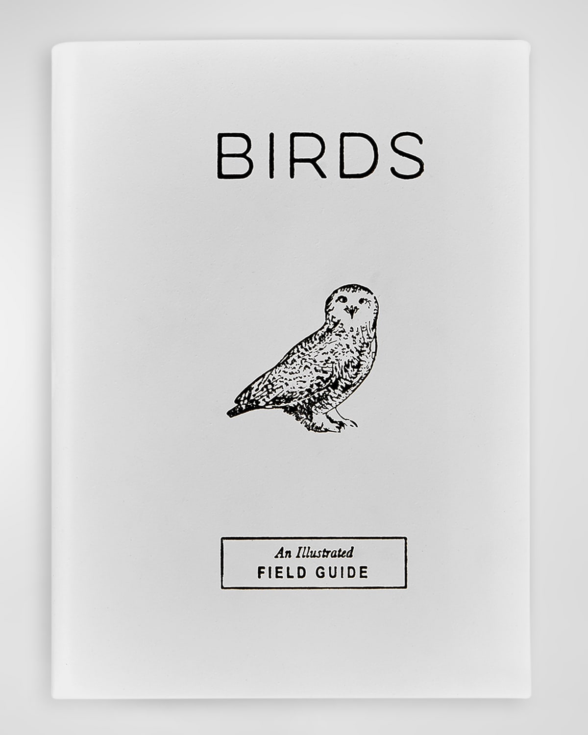 Shop Graphic Image Birds: An Illustrated Field Guide Book In White