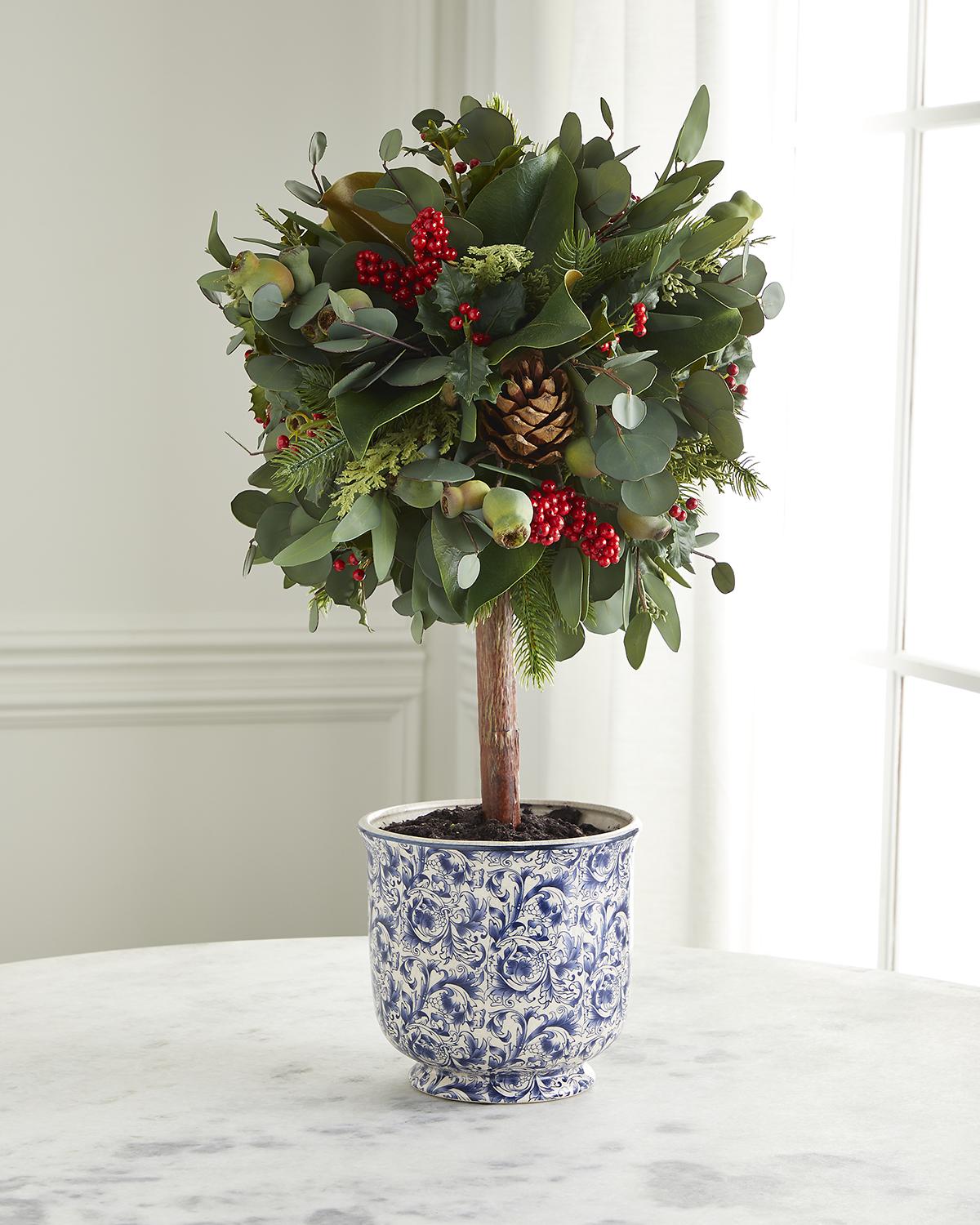 Winward Eucalyptus Holiday In Blue/white Pot