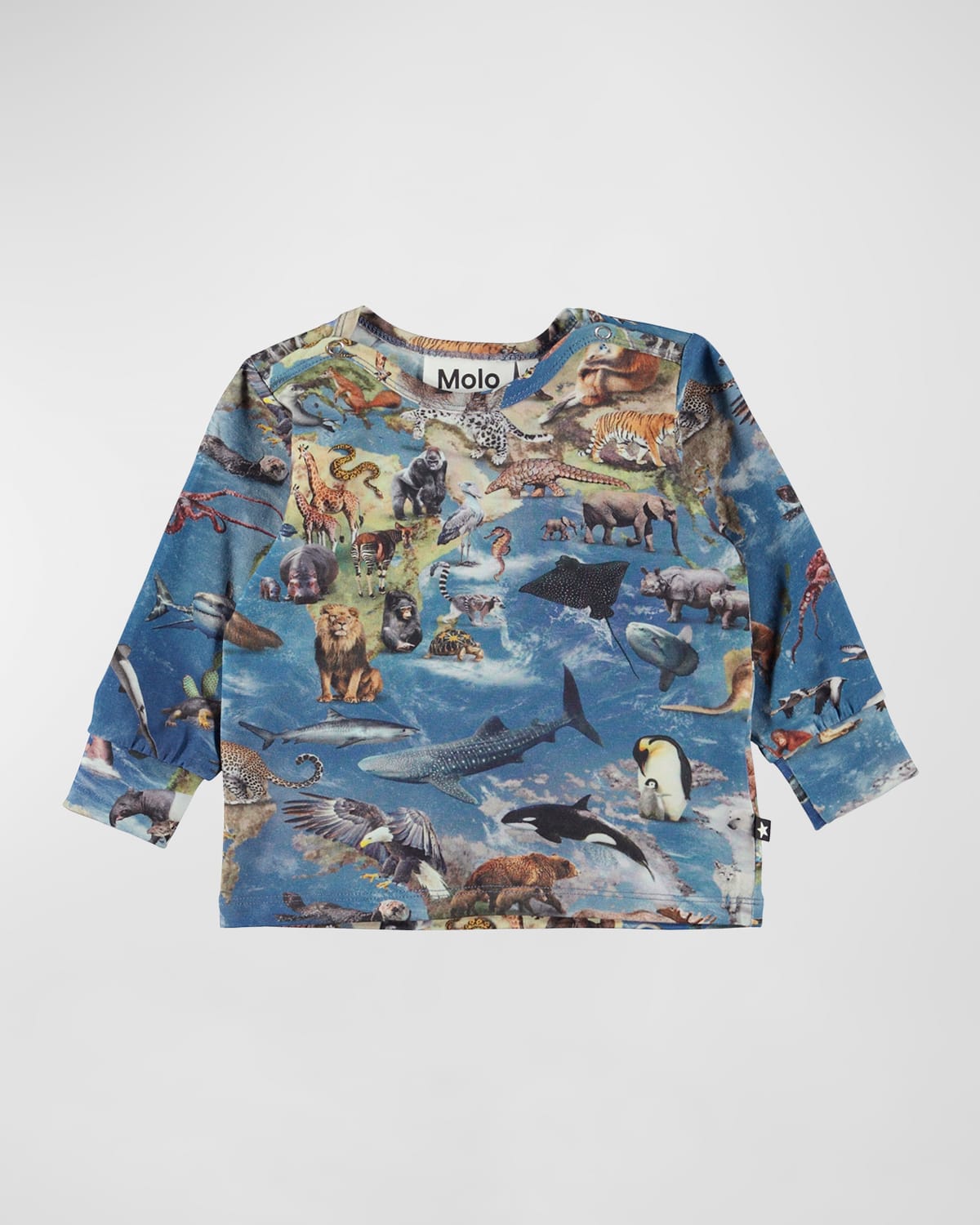 Boy's Enez Animal-Print Sweatshirt, Size 6M-24M