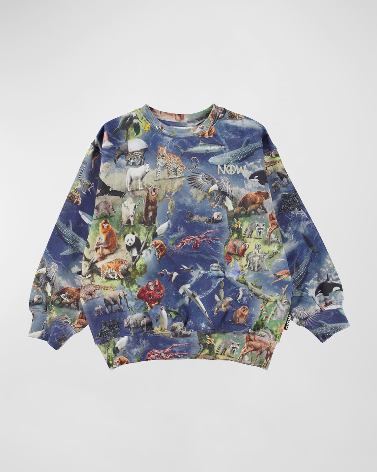 Boy's Monti Animals Sweatshirt, Size 8-12