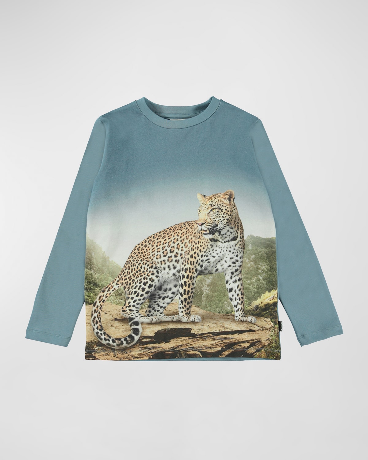 Boy's Reif Leopard Long-Sleeve Tee, Size 4-7