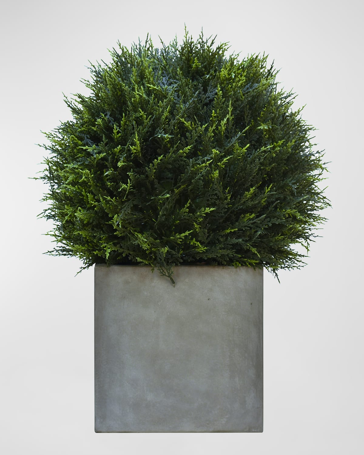 Ndi Cypress Ball Topiary In Concrete Planter In Green