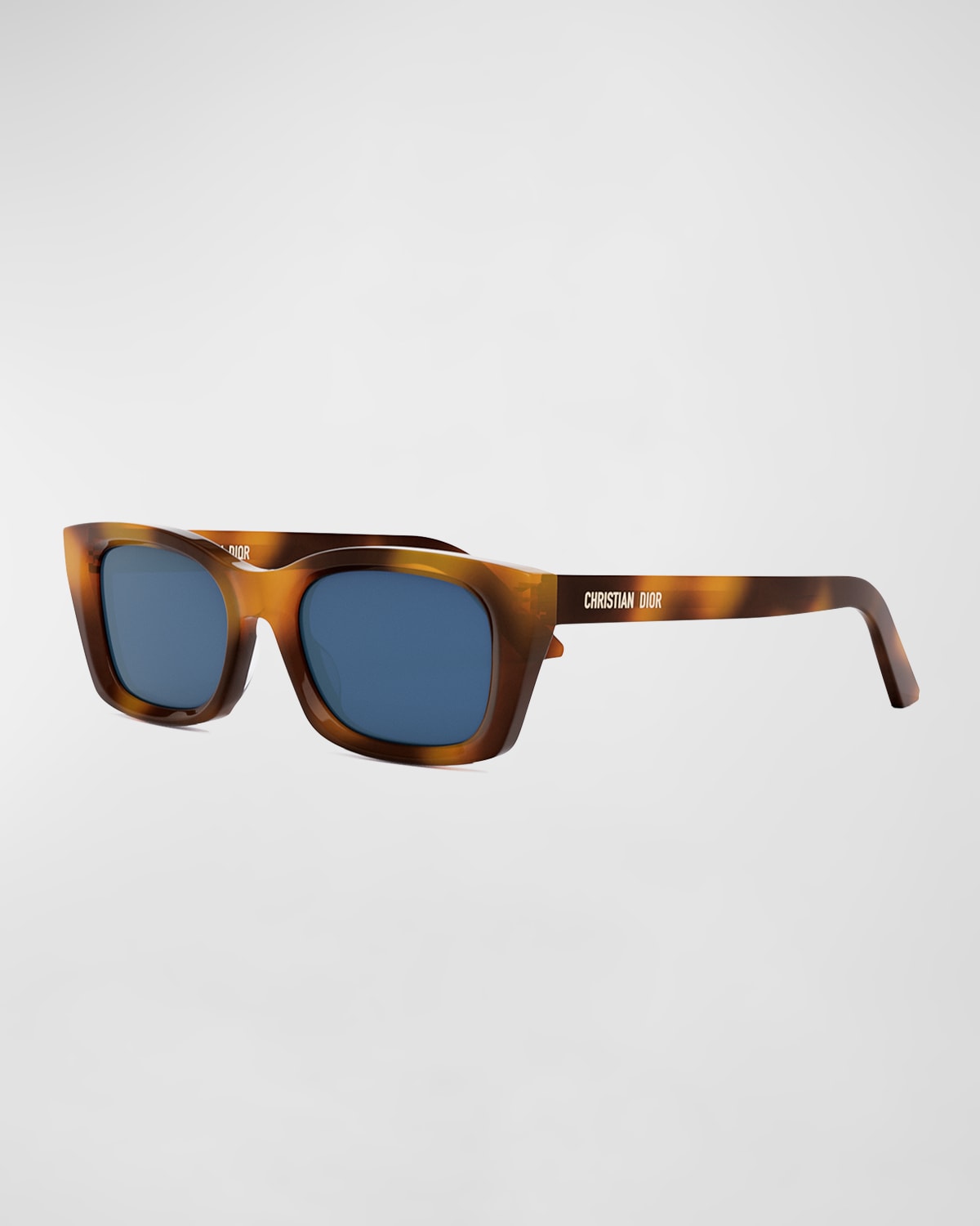 DiorMidnight S3I Sunglasses