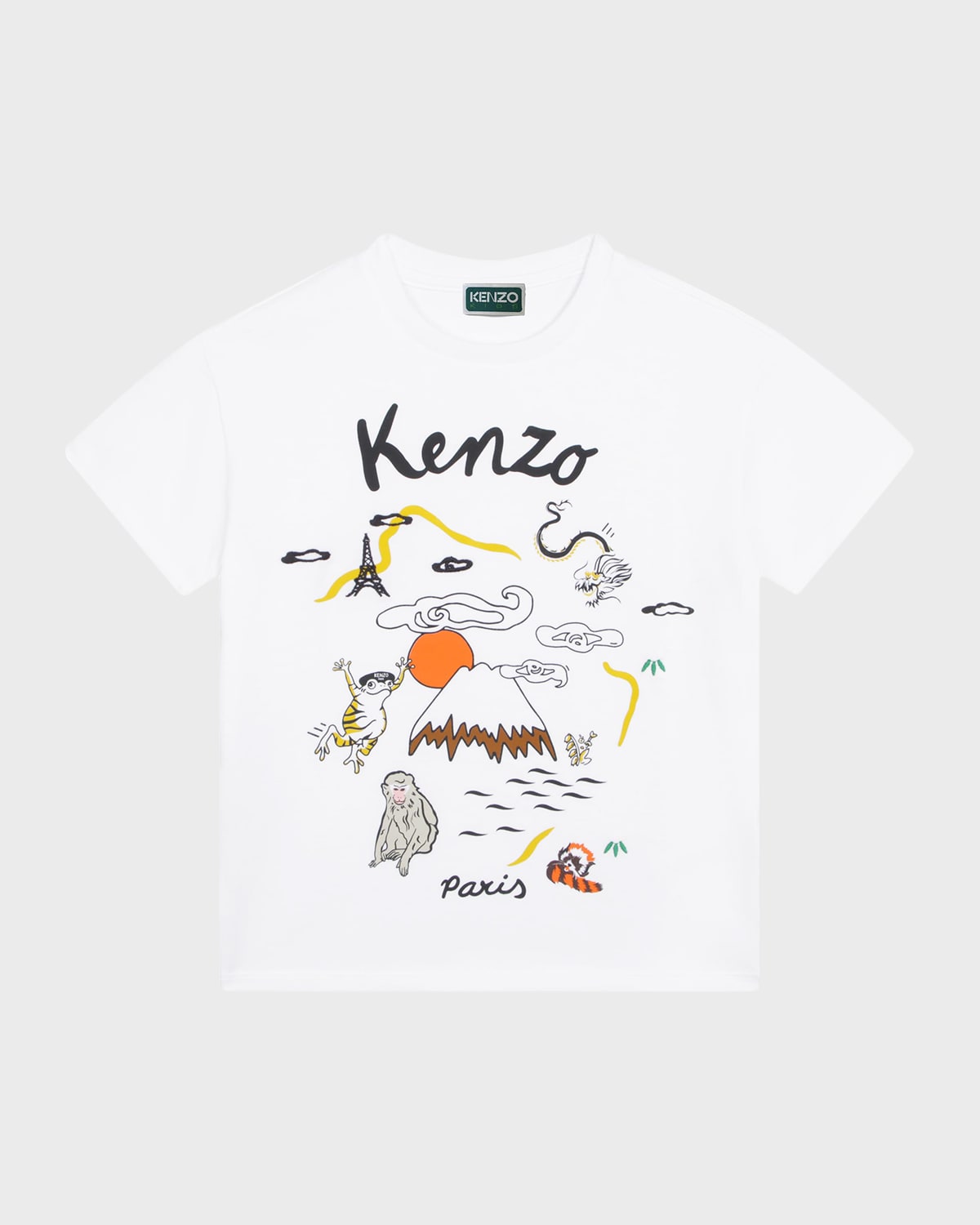 Boy's Mount Fugi Graphic T-Shirt, Size 4-5